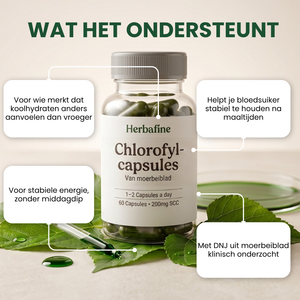 HERBAFINE™ — De dagelijkse capsule voor stabiele energie & bloedsuiker-balans