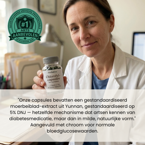 HERBAFINE™ — De dagelijkse capsule voor stabiele energie & bloedsuiker-balans