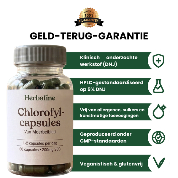 HERBAFINE™ — De dagelijkse capsule voor stabiele energie & bloedsuiker-balans