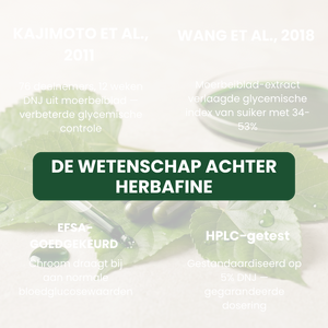 HERBAFINE™ — De dagelijkse capsule voor stabiele energie & bloedsuiker-balans