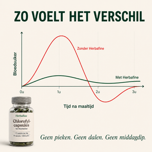 HERBAFINE™ — De dagelijkse capsule voor stabiele energie & bloedsuiker-balans