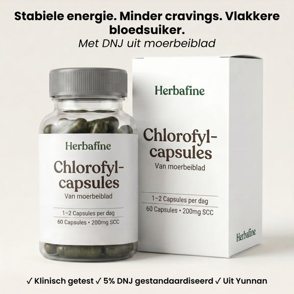 HERBAFINE™ — De dagelijkse capsule voor stabiele energie & bloedsuiker-balans
