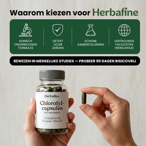 HERBAFINE™ — De dagelijkse capsule voor stabiele energie & bloedsuiker-balans